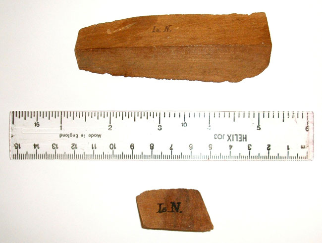 Astronauts Give Isaac Newton a Gravity-Free Tribute
